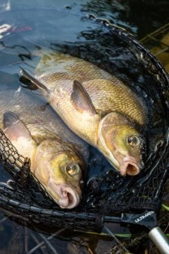 Ultimate Pannet 50x40cm 9 Ultimate Pannet 50x40cm -Visser Xpert Verkoopwinkel 123c10c7cbb185a2