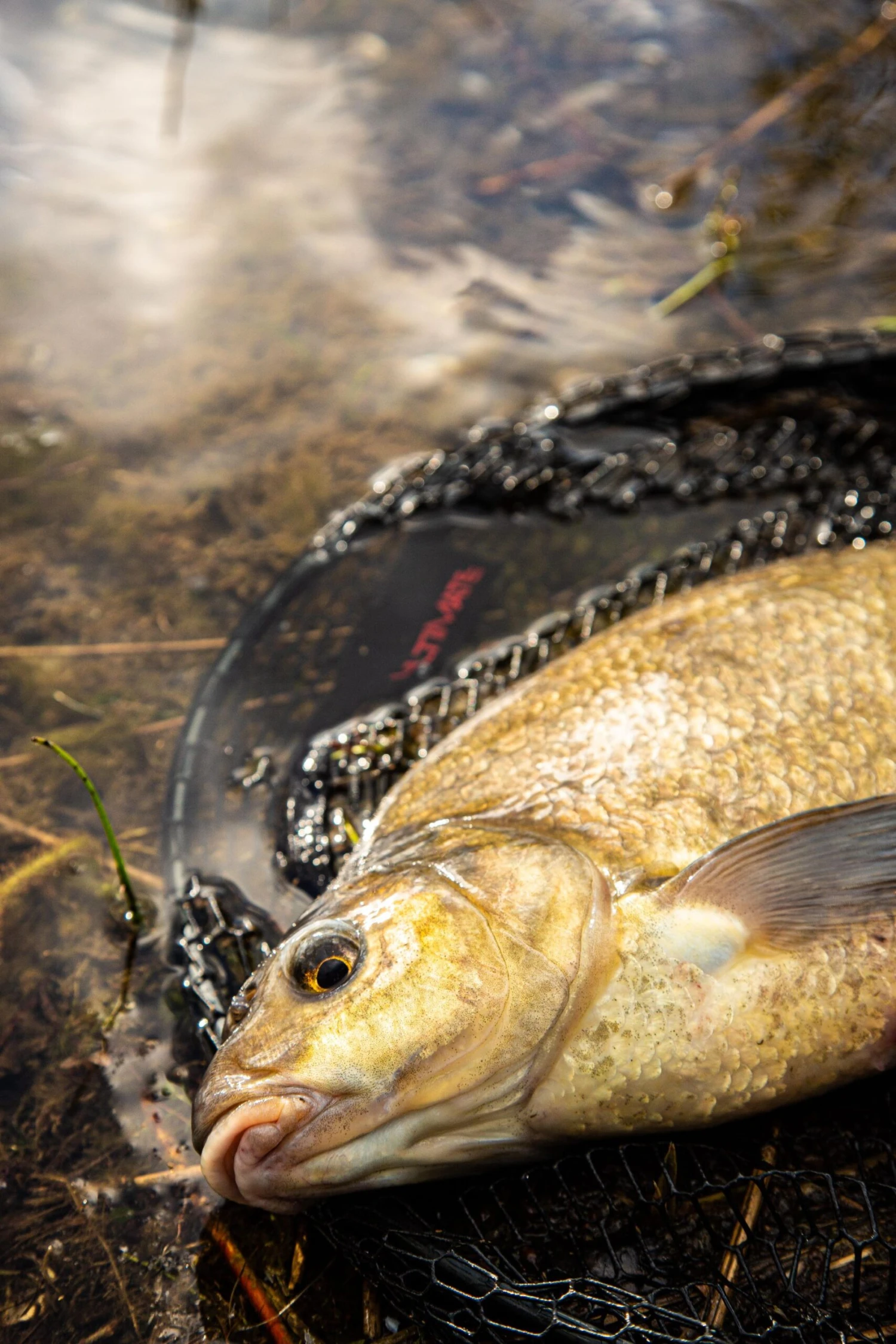 Ultimate Pannet 50x40cm 3 Ultimate Pannet 50x40cm