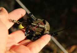 Fox Grappling Marker Lood 5oz / 142gram (2 Pcs)